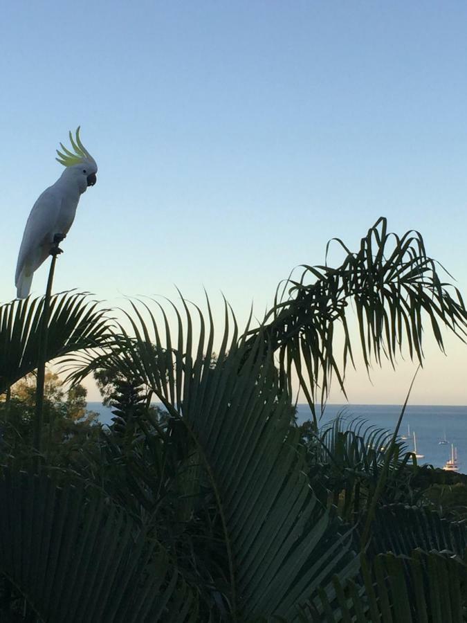 Island Views Bed and Breakfast Airlie Beach Eksteriør billede