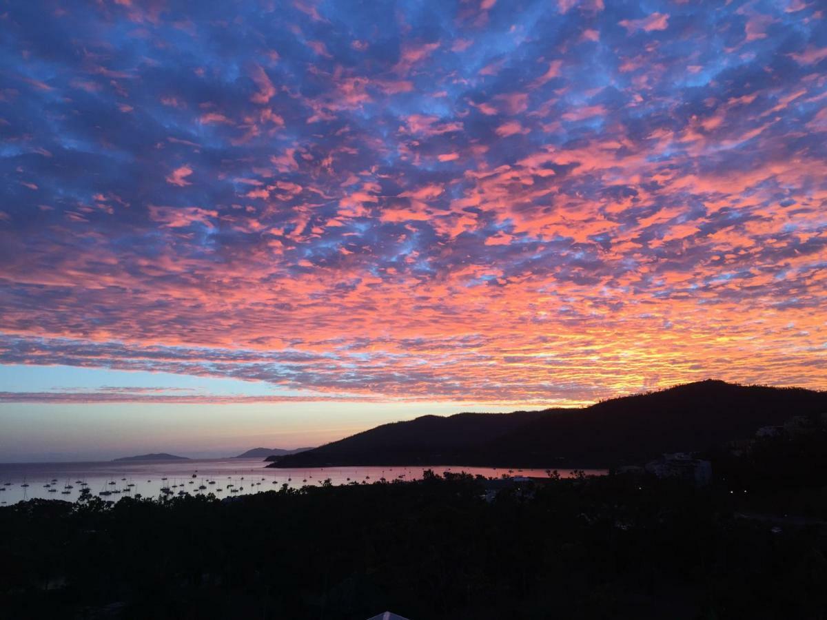 Island Views Bed and Breakfast Airlie Beach Eksteriør billede