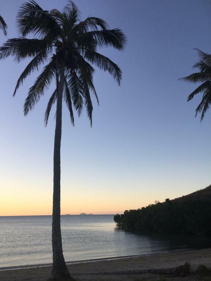 Island Views Bed and Breakfast Airlie Beach Eksteriør billede